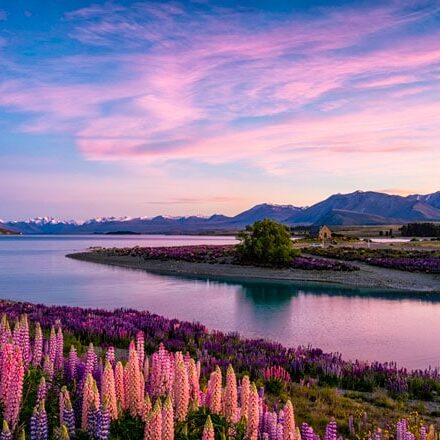 about1 Lake Tekapo South Island NZ