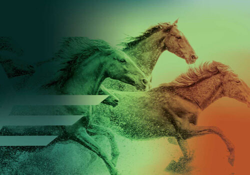 leadership-website-services Web Design for NZ Leaders