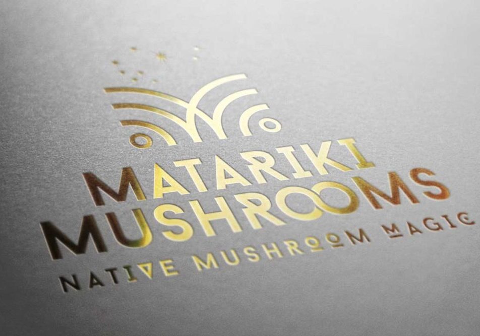 startup business logo